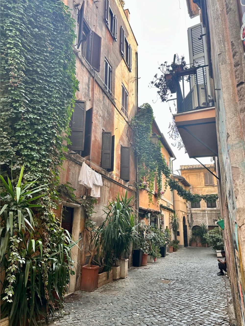 Meet your Posher, Alyssa